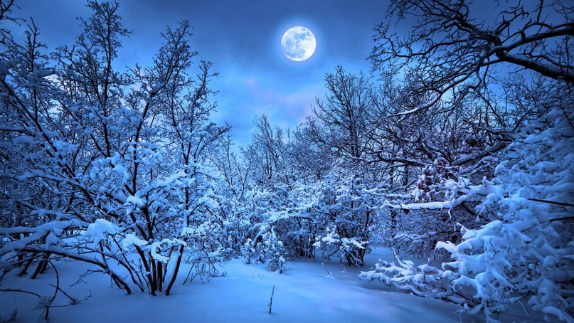 В лунном сиянии снег серебрится скачать mp3