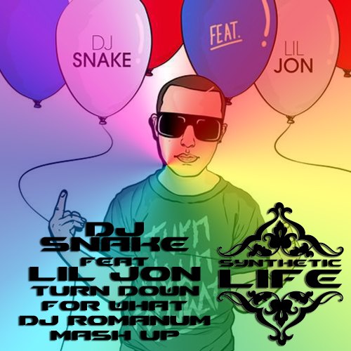 DJ Snake feat. Lil Jon - Turn Down For What (Dotcom's Retwerk)